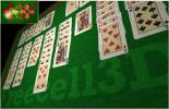Baize Table